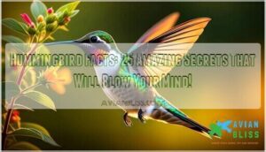 hummingbird facts information hummingbird facts information
