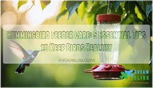 hummingbird feeder care