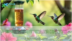 hummingbird feeding and migration