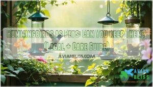 hummingbirds as pets