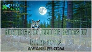 hunting and feeding habits of maine owls