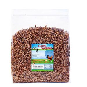 I LOVE WORMS Dried Black B0C4P85WQG