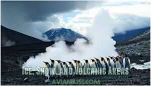 ice, snow, and volcanic areas