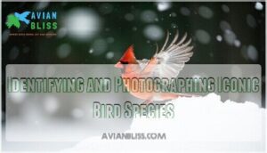 identifying and photographing iconic bird species