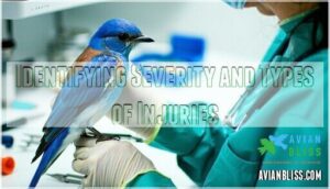 identifying severity and types of injuries