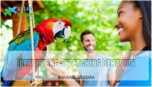identifying stretching behavior