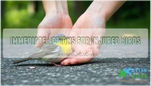 immediate actions for injured birds immediate actions for injured birds