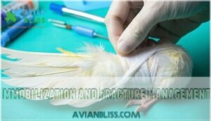 immobilization and fracture management