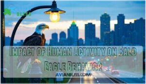 impact of human activity on bald eagle behavior