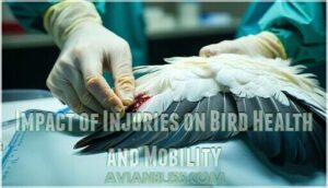 impact of injuries on bird health and mobility