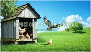impact on backyard chickens