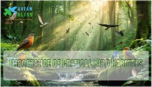 importance of critical bird habitats