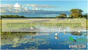 importance of minimal disturbance