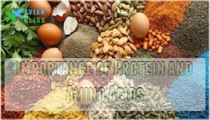 importance of protein and amino acids