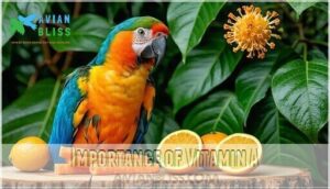 importance of vitamin a