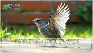 inability or difficulty flying inability or difficulty flying