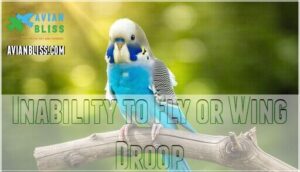 inability to fly or wing droop