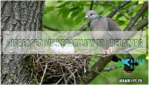 increased vulnerability to predators increased vulnerability to predators