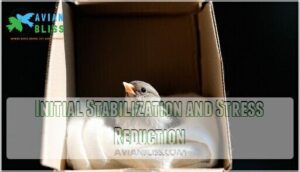 initial stabilization and stress reduction