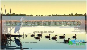 inland wetlands and aquatic zones