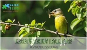 insect catching techniques