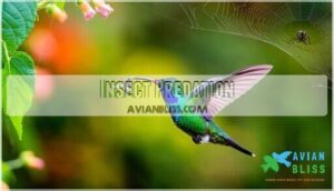 insect predation insect predation