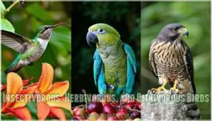 insectivorous, herbivorous, and omnivorous birds