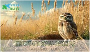 insects and small mammals