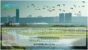insufficient protected areas for bird conservation insufficient protected areas for bird conservation