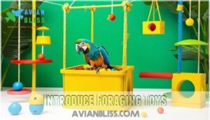 introduce foraging toys