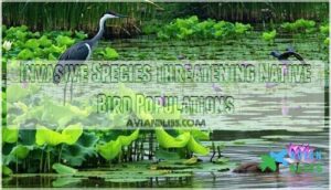invasive species threatening native bird populations invasive species threatening native bird populations