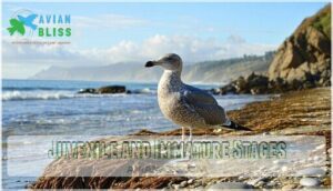 juvenile and immature stages