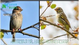 juvenile vs. adult differences