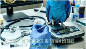 key procedures in avian exams