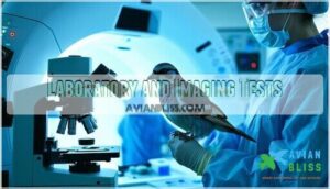 laboratory and imaging tests