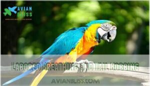 labored breathing and tail bobbing