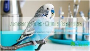 labored or open-mouth breathing