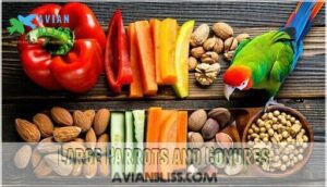 large parrots and conures