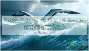 largest wingspan bird