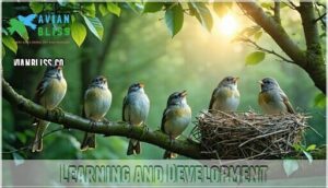 learning and development