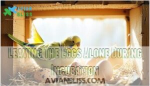 leaving the eggs alone during incubation