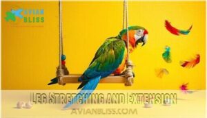 leg stretching and extension