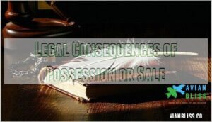 legal consequences of possession or sale