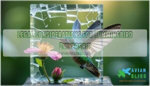 legal considerations for hummingbird ownership