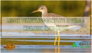lesser yellowlegs