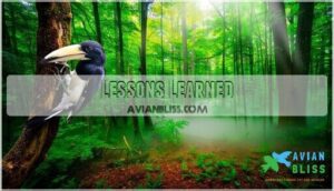 lessons learned