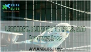 lethargy, fluffed feathers, and appetite loss