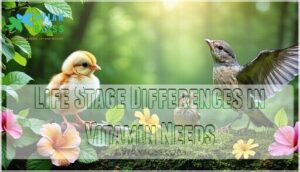 life stage differences in vitamin needs