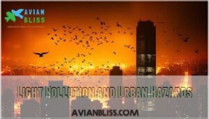 light pollution and urban hazards