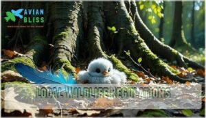 local wildlife regulations local wildlife regulations